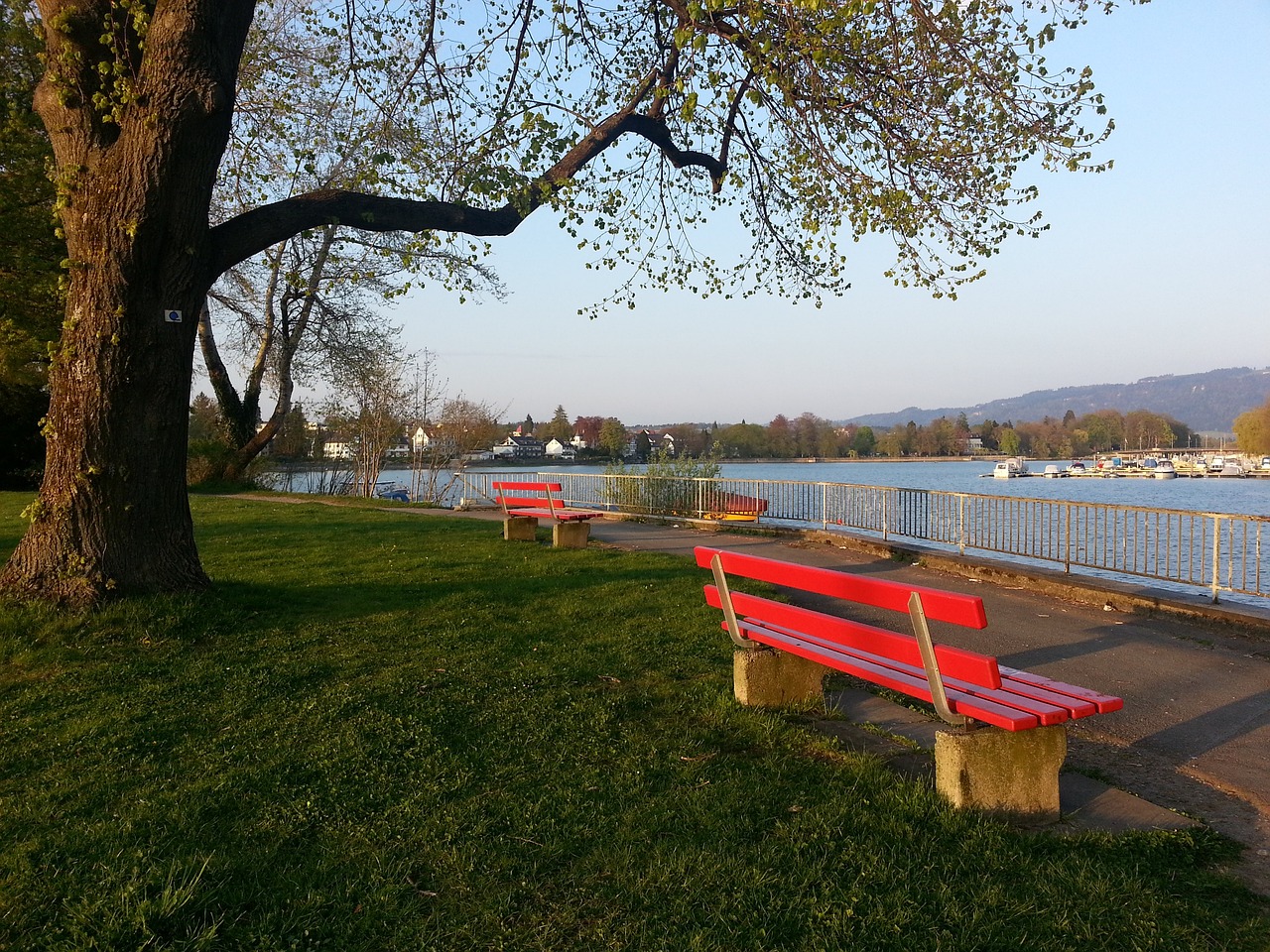 何影響球隊 何影響球隊