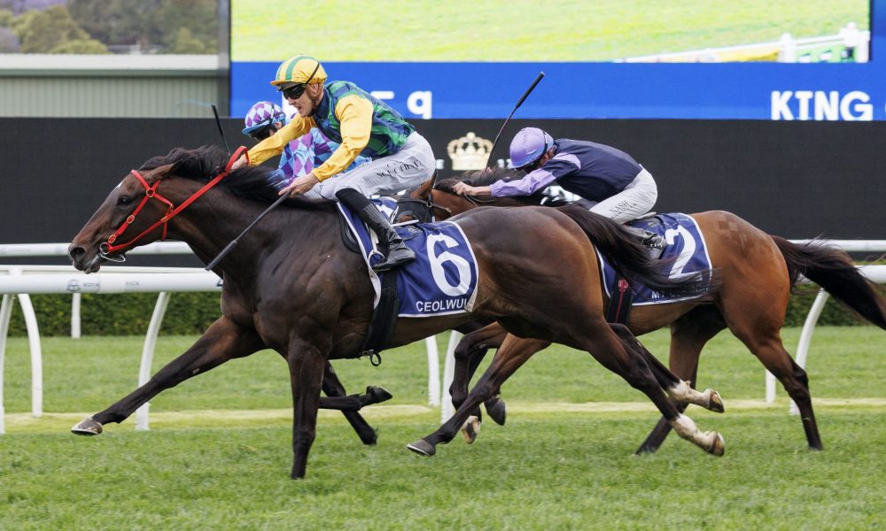 川崎前锋队 川崎前锋队